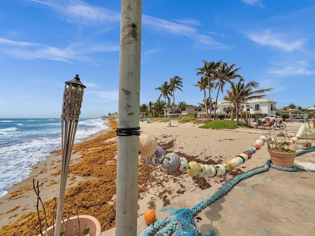 The Shell On Walnut 1Br1Bath Hollywood Beach Free Parking Dania Beach Exterior photo