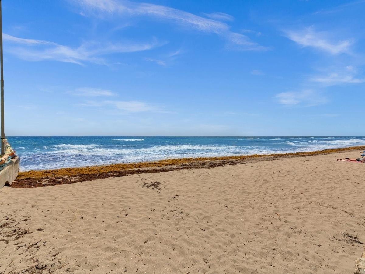 The Shell On Walnut 1Br1Bath Hollywood Beach Free Parking Dania Beach Exterior photo